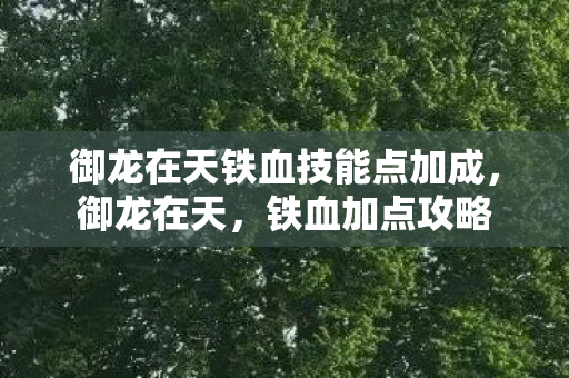 御龙在天铁血技能点加成图片
