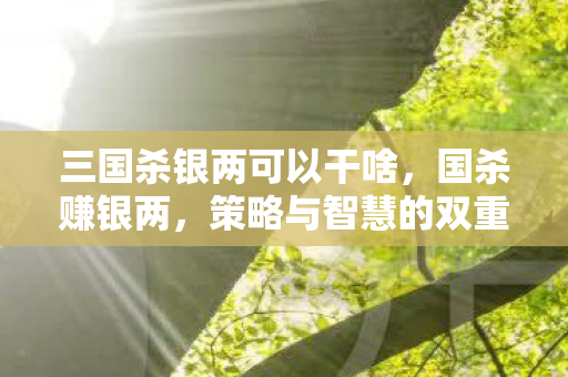 策略与智慧的双重盛宴图片