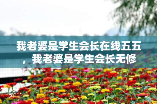 我老婆是学生会长在线五五图片