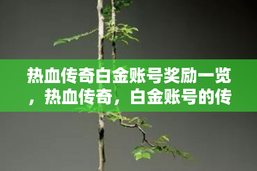 热血传奇白金账号奖励一览图片