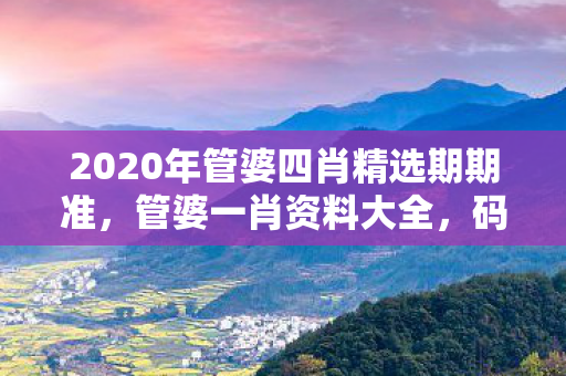 2020年管婆四肖精选期期准，管婆一肖资料大全，码民江湖的玄学狂欢与理性回归