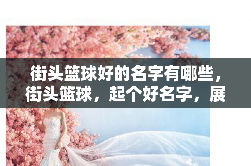 街头篮球好的名字有哪些图片