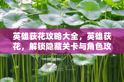 解锁隐藏关卡与角色攻略图片