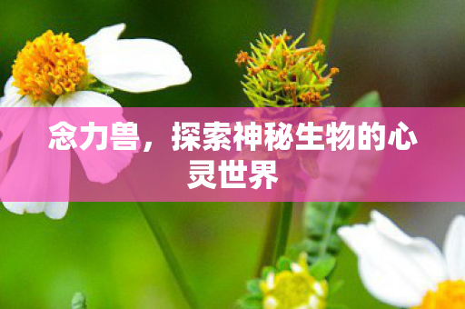 探索神秘生物的心灵世界图片