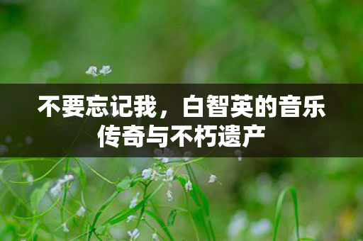 白智英的音乐传奇与不朽遗产图片