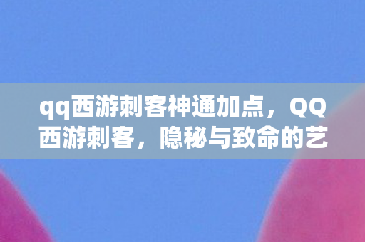 qq西游刺客神通加点，QQ西游刺客，隐秘与致命的艺术