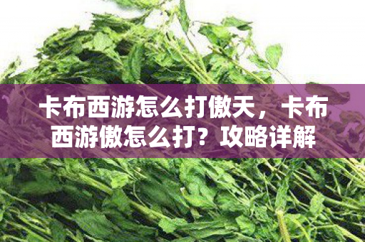 卡布西游怎么打傲天图片