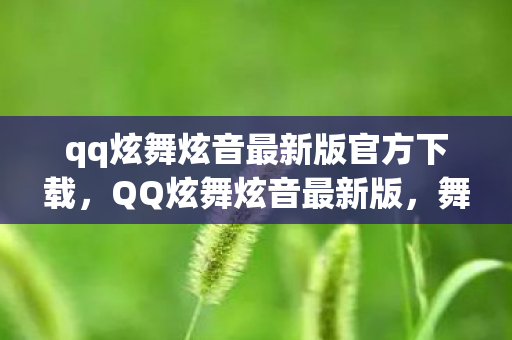 qq炫舞炫音最新版官方下载图片