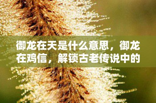 解锁古老传说中的神秘符号图片