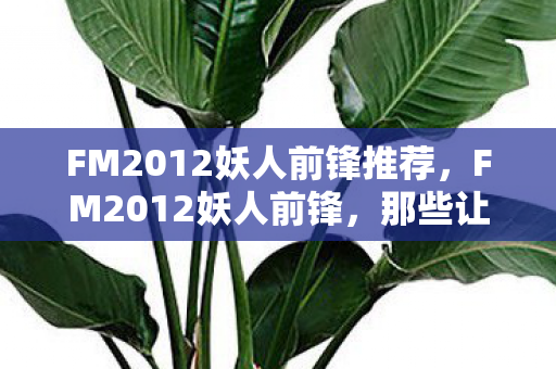 那些让你爱不释手的潜力新星图片