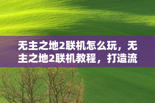 打造流畅的多人游戏体验图片
