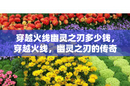 穿越火线幽灵之刃多少钱图片