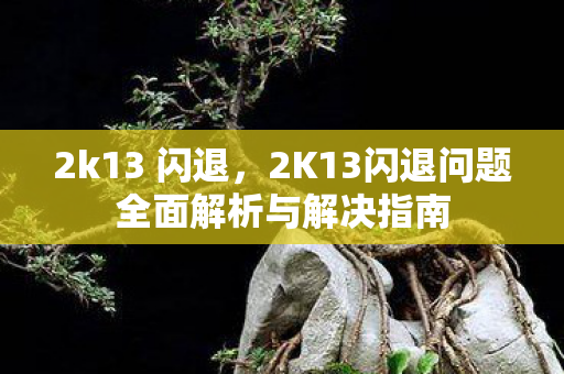 2K13闪退问题全面解析与解决指南图片