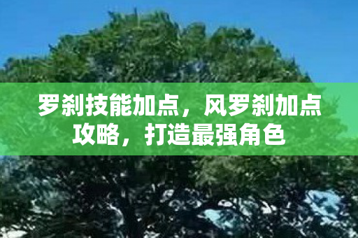 风罗刹加点攻略图片