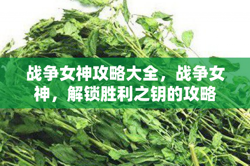 解锁胜利之钥的攻略图片