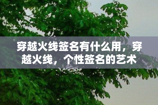 穿越火线签名有什么用图片