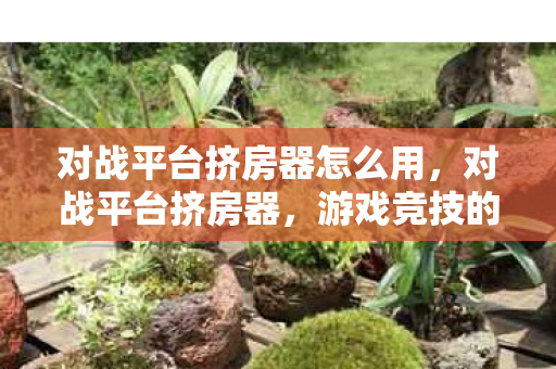 对战平台挤房器怎么用图片