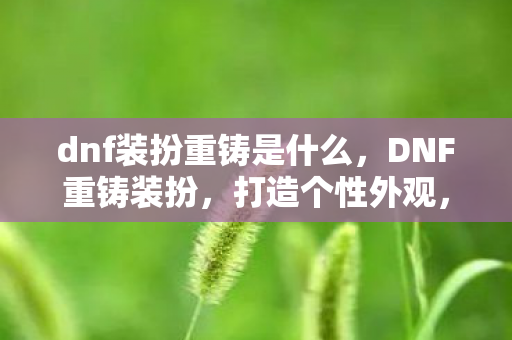 dnf装扮重铸是什么图片