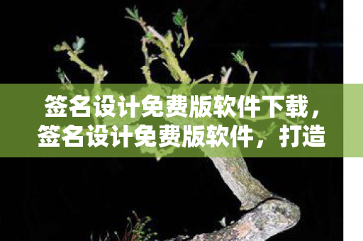 签名设计免费版软件下载图片