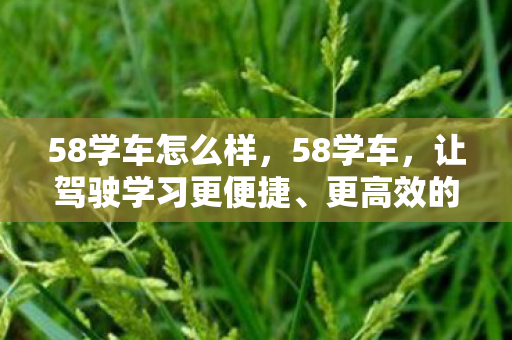 让驾驶学习更便捷图片