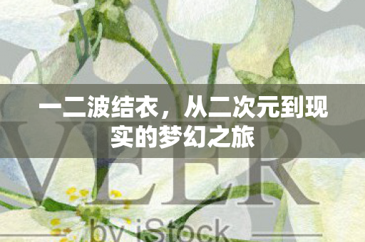 从二次元到现实的梦幻之旅图片