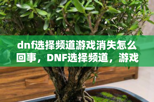 dnf选择频道游戏消失怎么回事图片