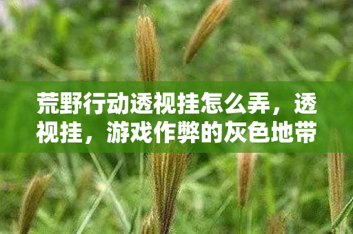 荒野行动透视挂怎么弄图片