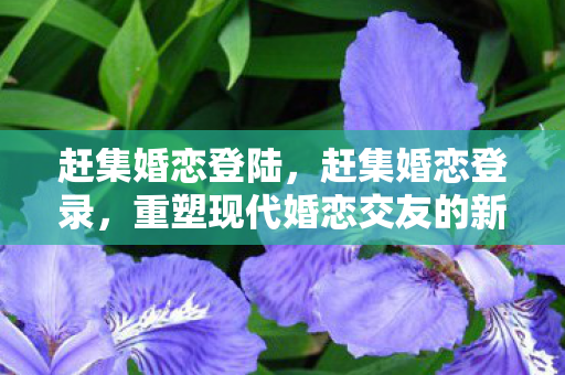 重塑现代婚恋交友的新模式图片