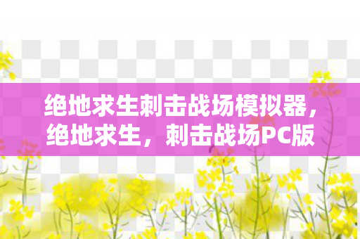 绝地求生刺击战场模拟器图片