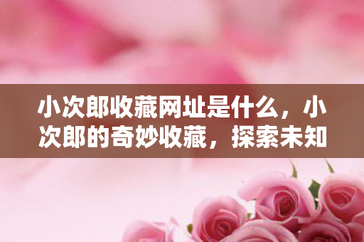 探索未知世界的神秘网址图片