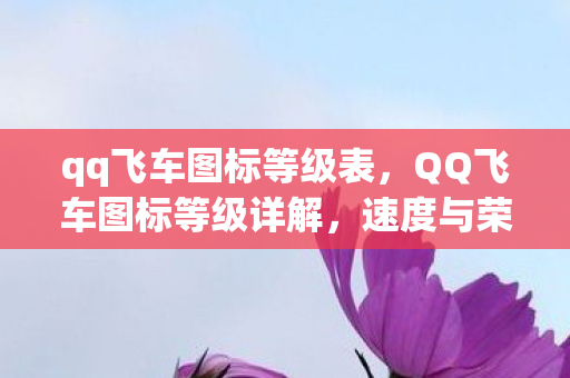 qq飞车图标等级表，QQ飞车图标等级详解，速度与荣耀的象征