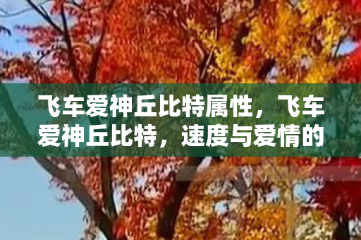 飞车爱神丘比特属性，飞车爱神丘比特，速度与爱情的完美交融