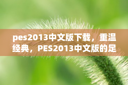 PES2013中文版的足球盛宴图片