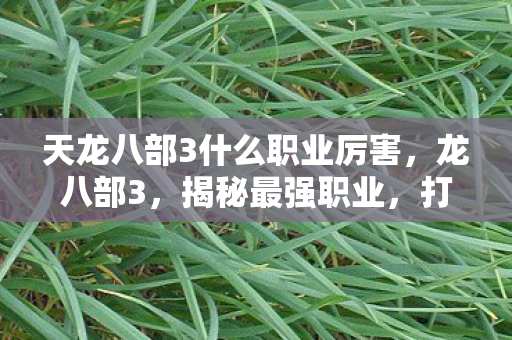 天龙八部3什么职业厉害图片