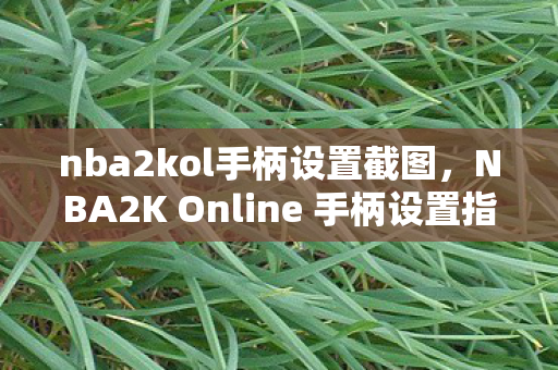 NBA2K Online 手柄设置指南图片