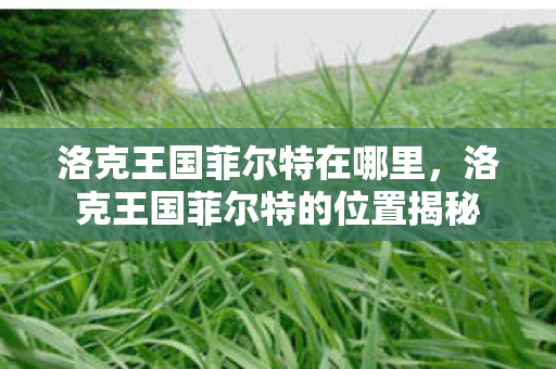 洛克王国菲尔特的位置揭秘图片