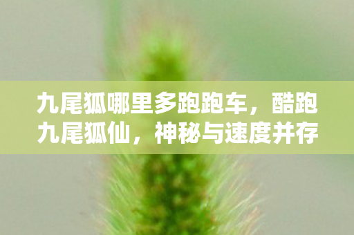 神秘与速度并存的奇幻之旅图片