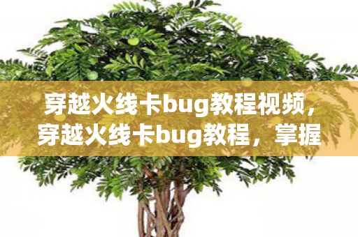 穿越火线卡bug教程视频图片