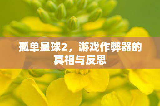 游戏作弊器的真相与反思图片