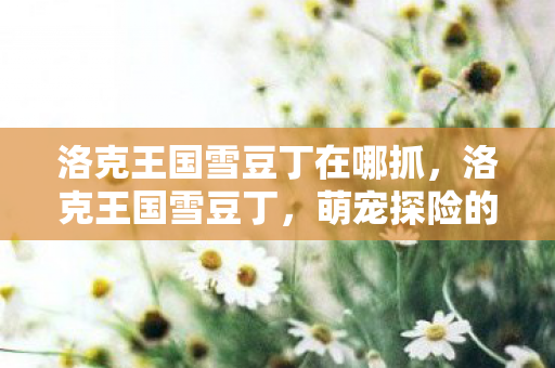 洛克王国雪豆丁在哪抓图片