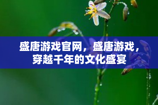 穿越千年的文化盛宴图片