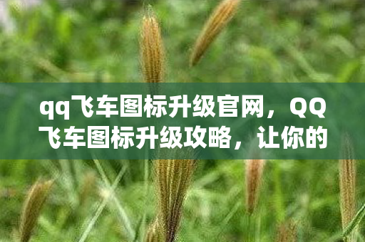 qq飞车图标升级官网，QQ飞车图标升级攻略，让你的飞车标识焕然一新