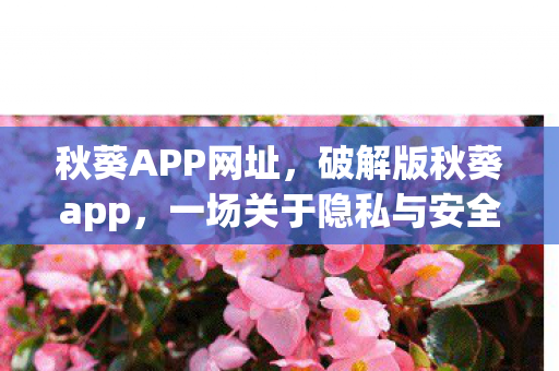 一场关于隐私与安全的警示图片