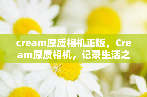 cream原质相机正版图片
