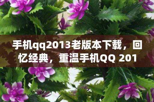 重温手机QQ 2013旧版本图片