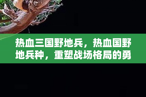 重塑战场格局的勇士图片