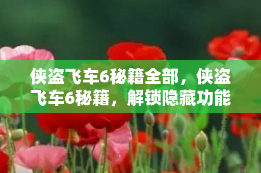 侠盗飞车6秘籍全部图片