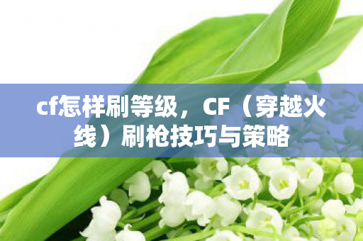 cf怎样刷等级图片