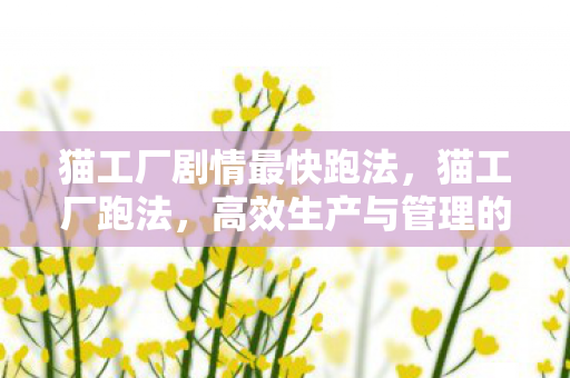 猫工厂剧情最快跑法，猫工厂跑法，高效生产与管理的新模式探索