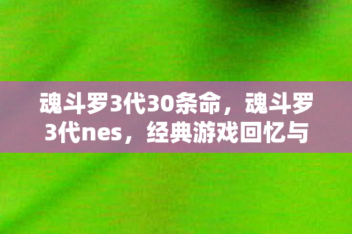 魂斗罗3代30条命图片